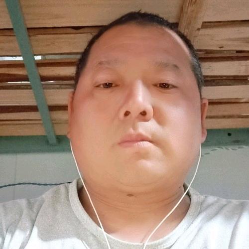 飞翔的小鸟
