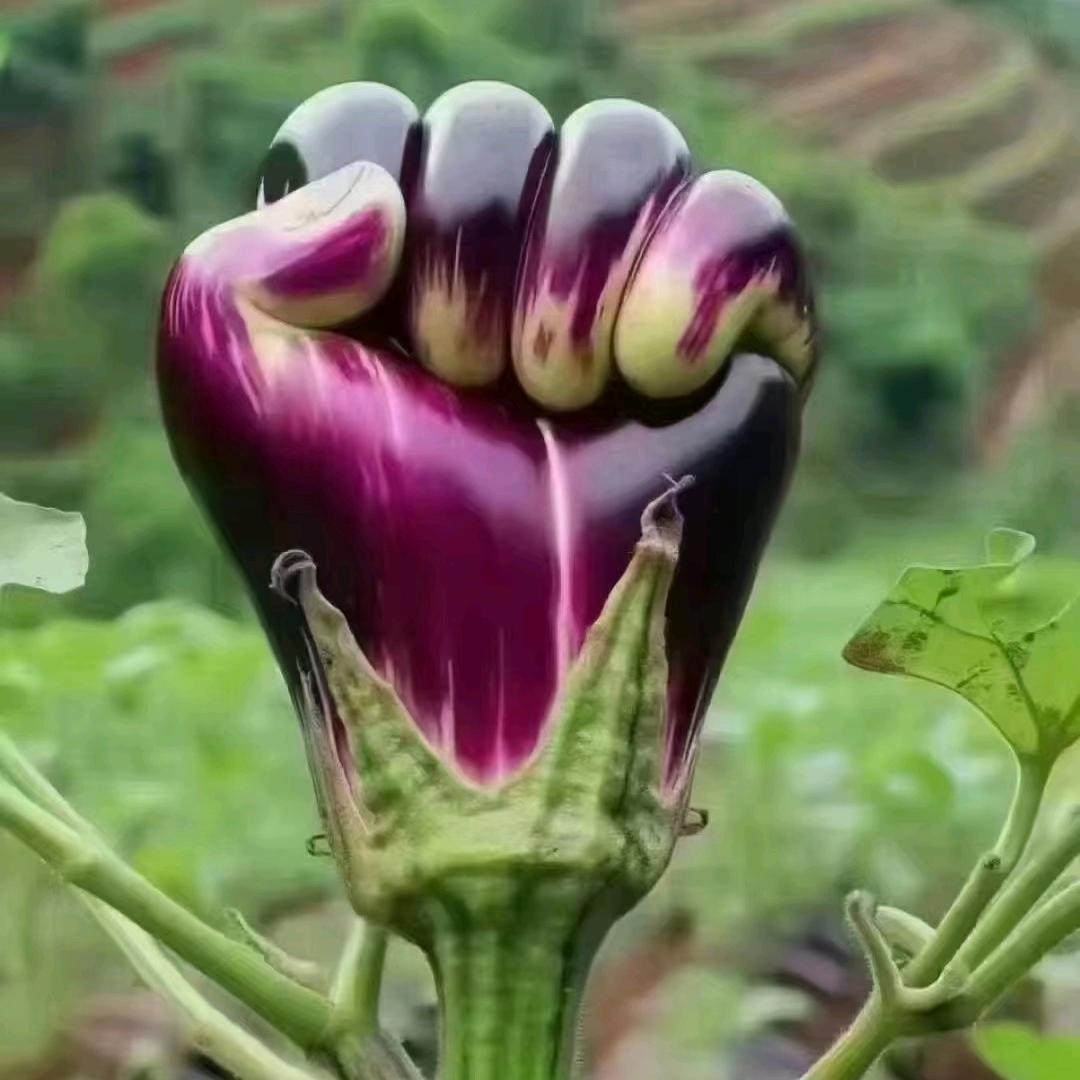 用户5629256434924