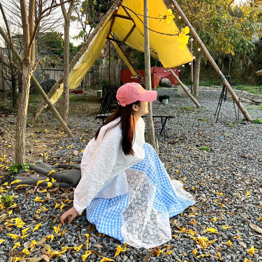 蝴蝶🦋不失忆