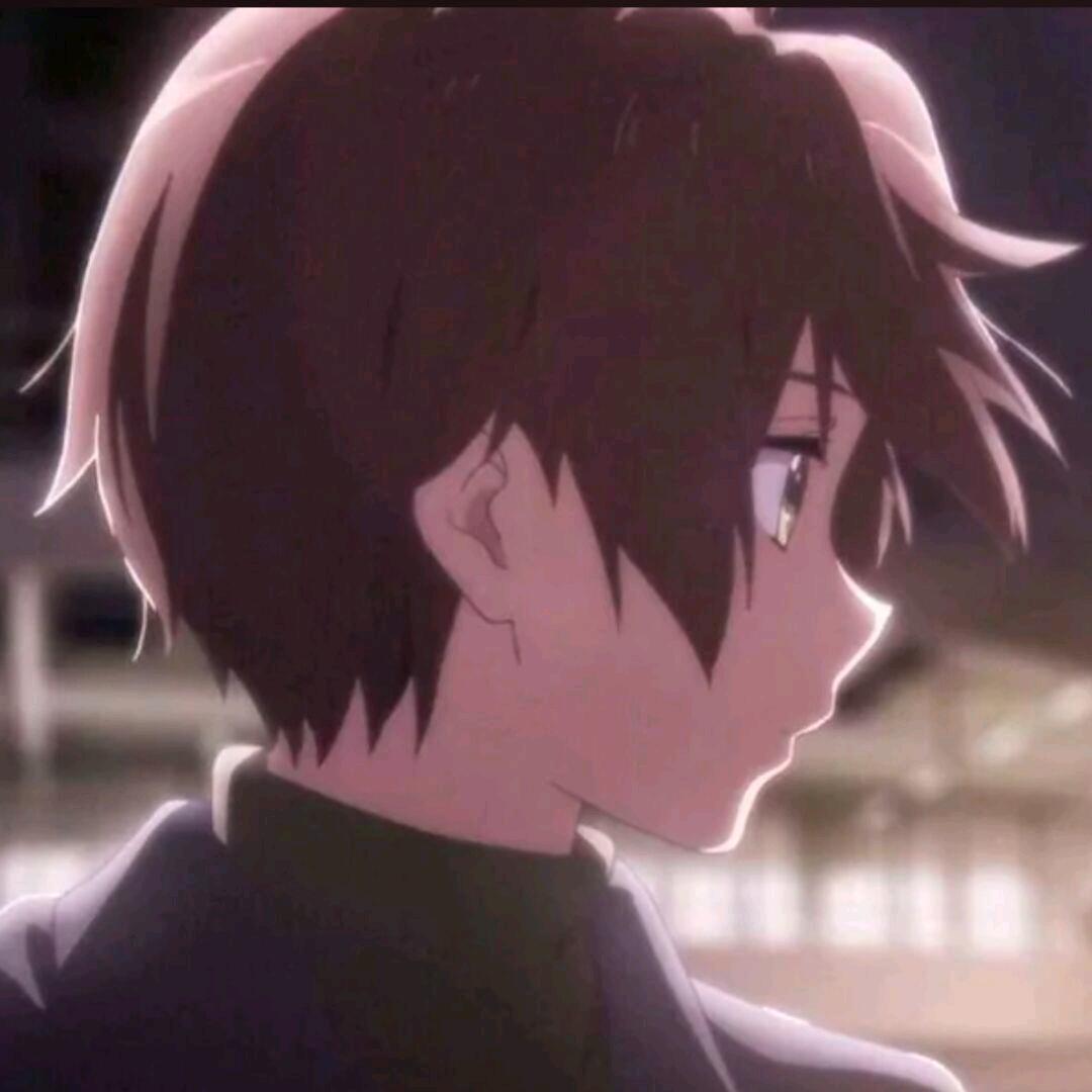 芝瑶不芝瑶
