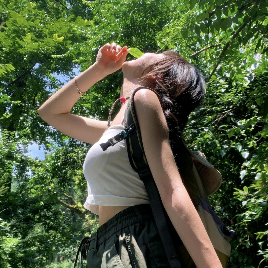 丽菲