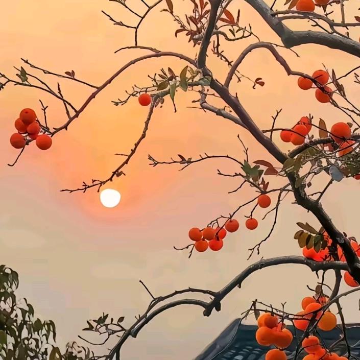 往後餘生ৡᩚ࿐