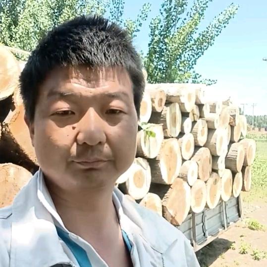 专业伐树9906，南和区小梁