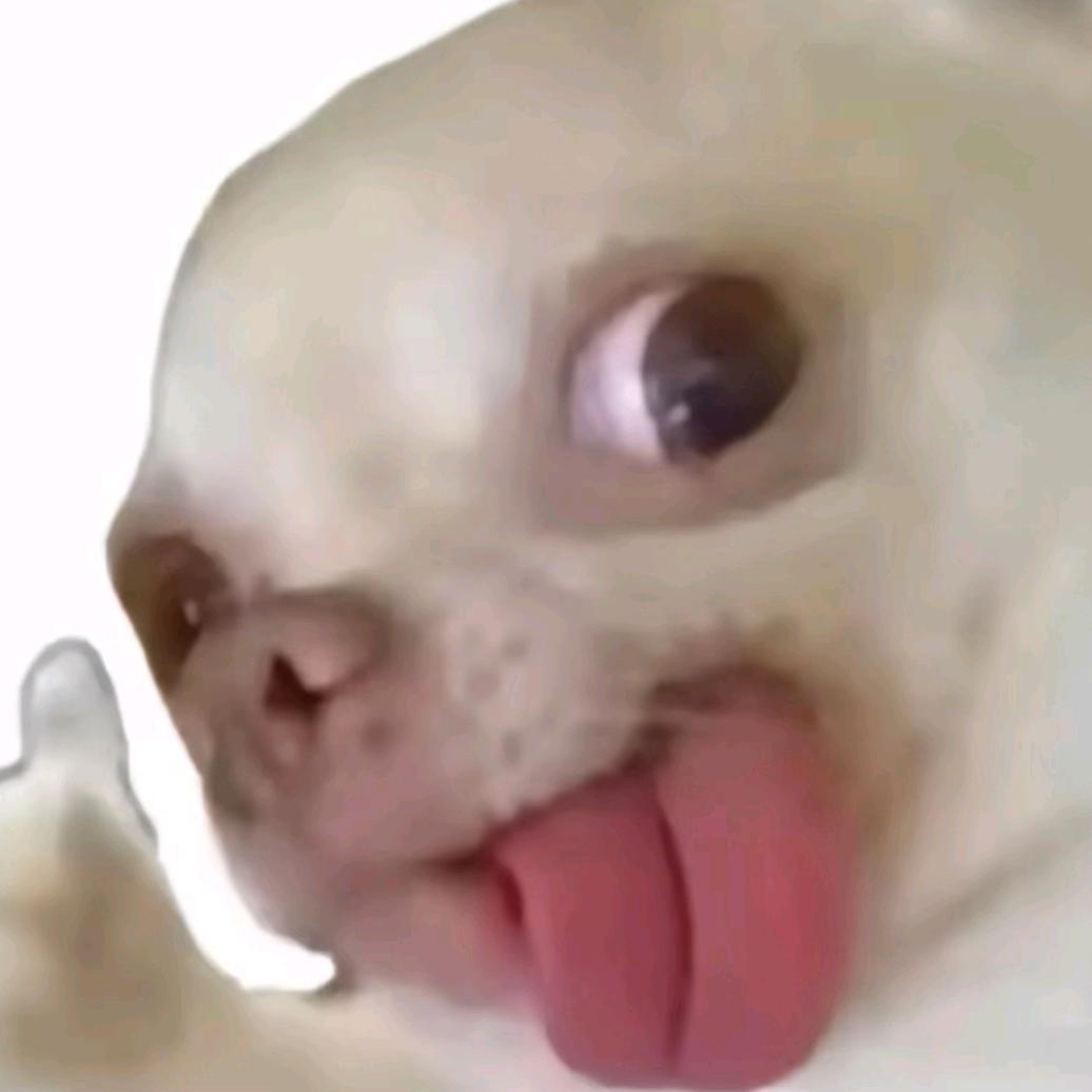 可以
