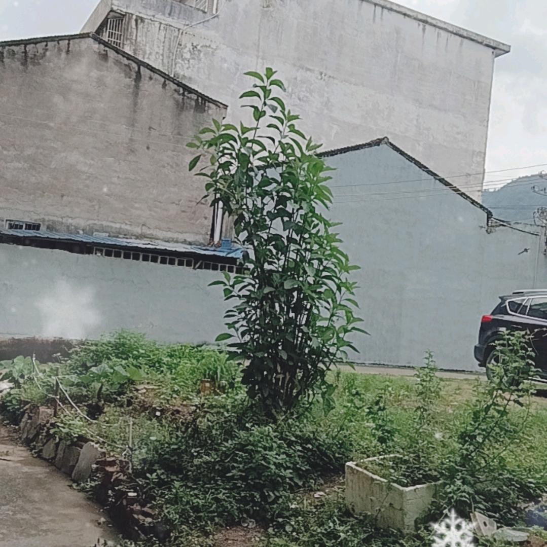 《:向钱看    向厚赚:》