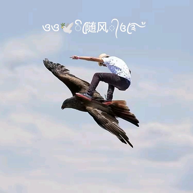 ওও🕊ꦿꦼ随风᭄꧔ꦿ࿐้