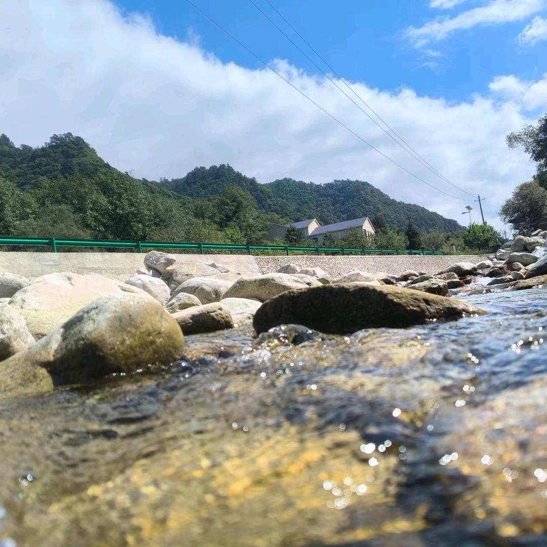 云悠悠
