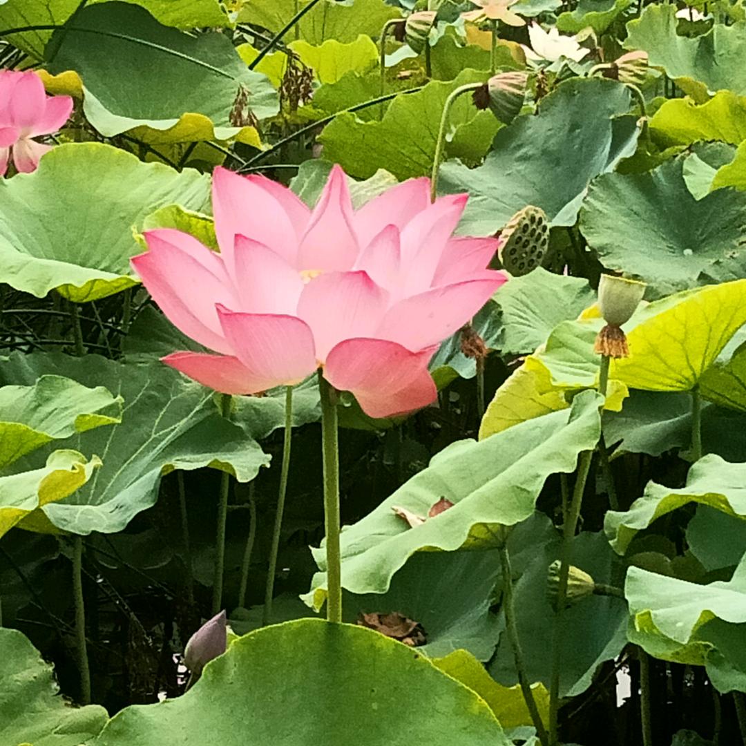 東石阁