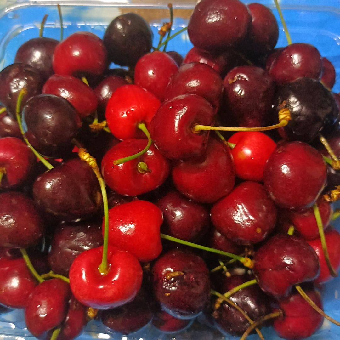 用户1314235642774平