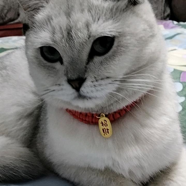 开心