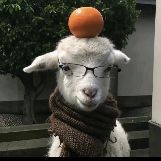 青蛙公主🌻 ³⁴⁵