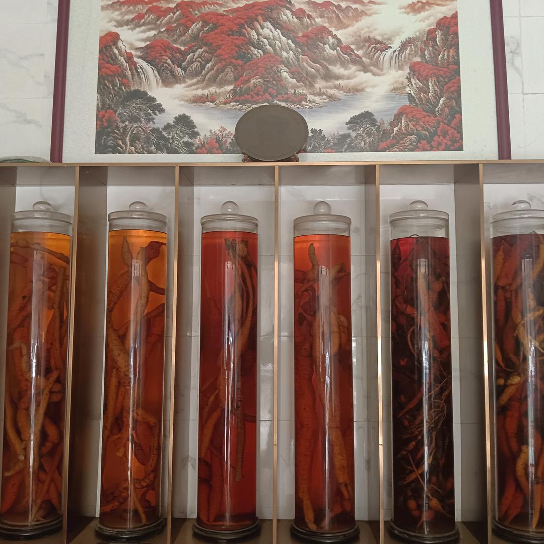 🐮大力（拉裤里）