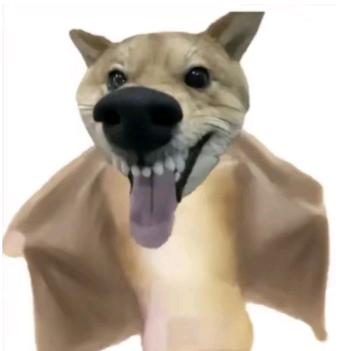 三角洲点子王