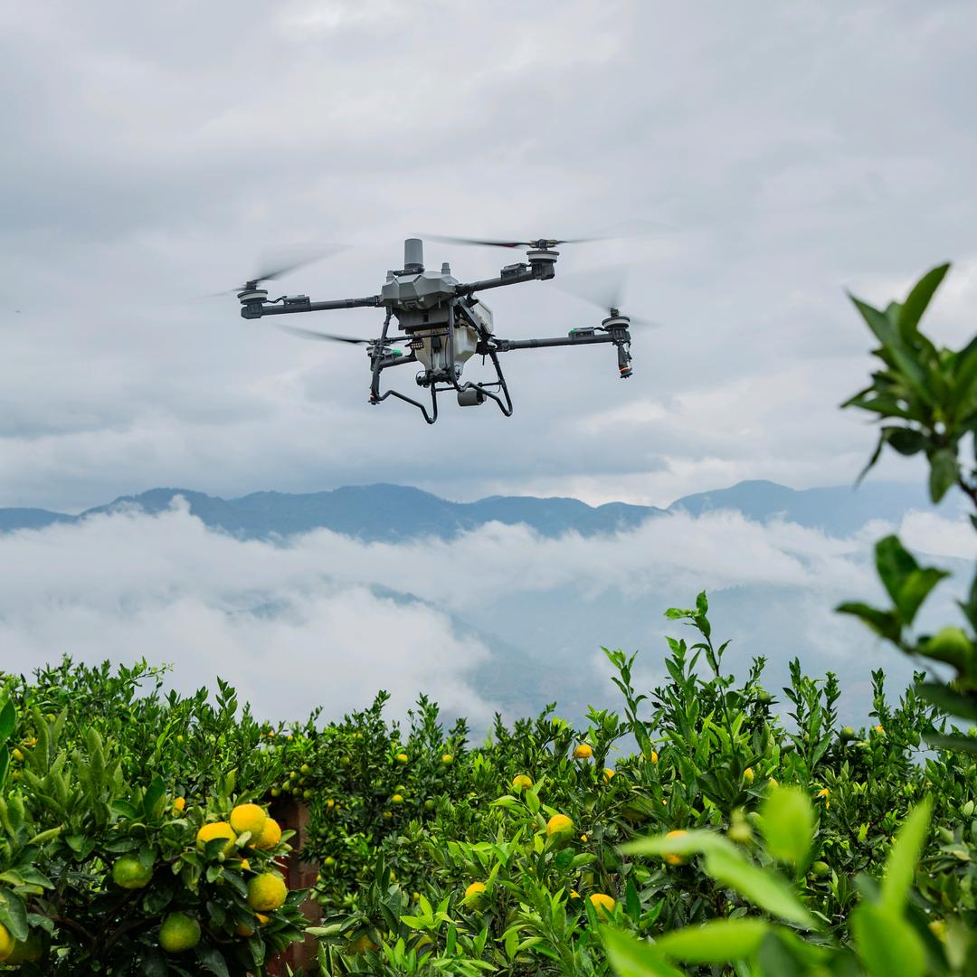 丽江启山农业科技有限公司