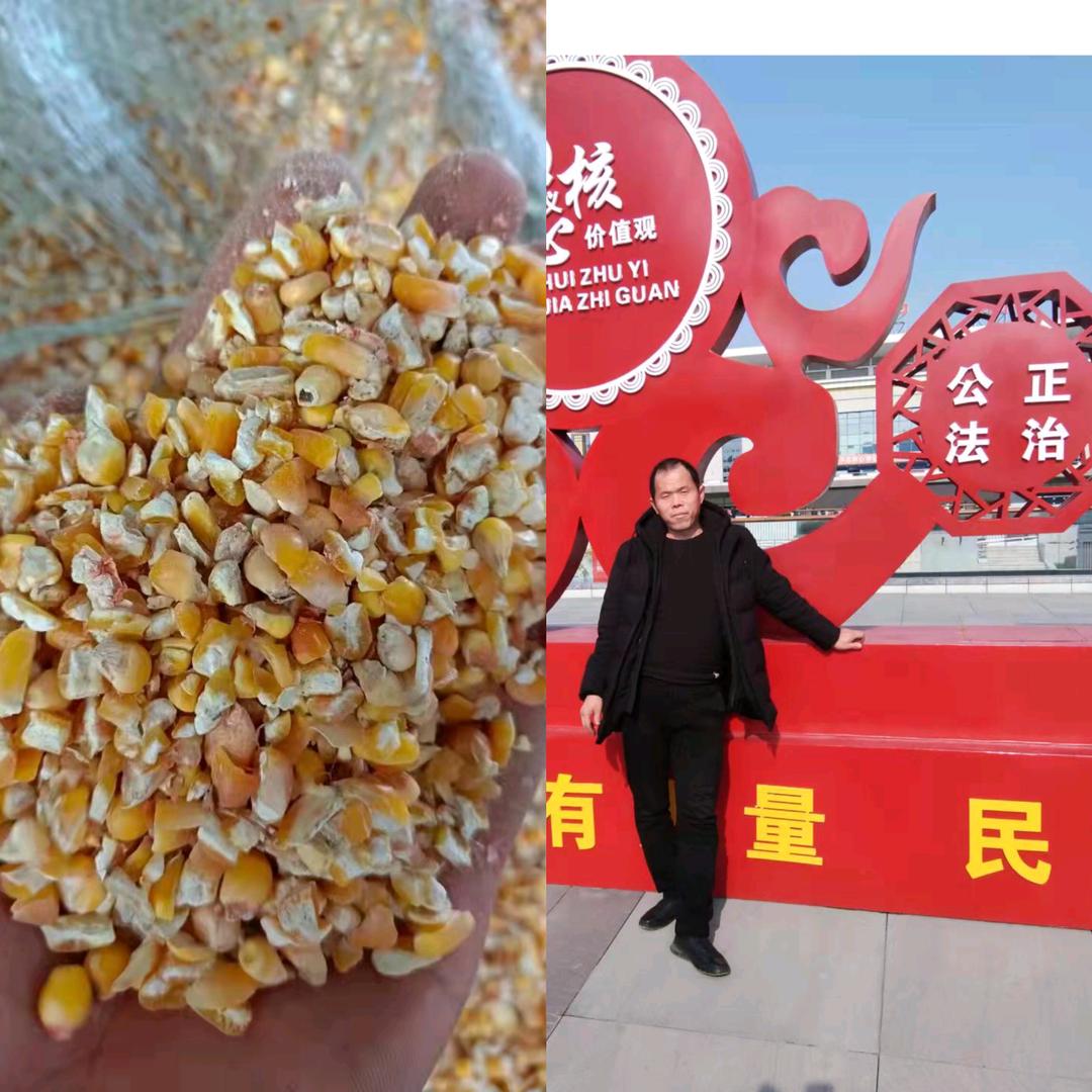 新起点,玉米渣