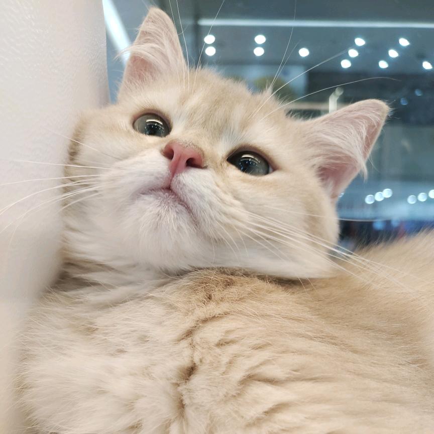 等一下头像