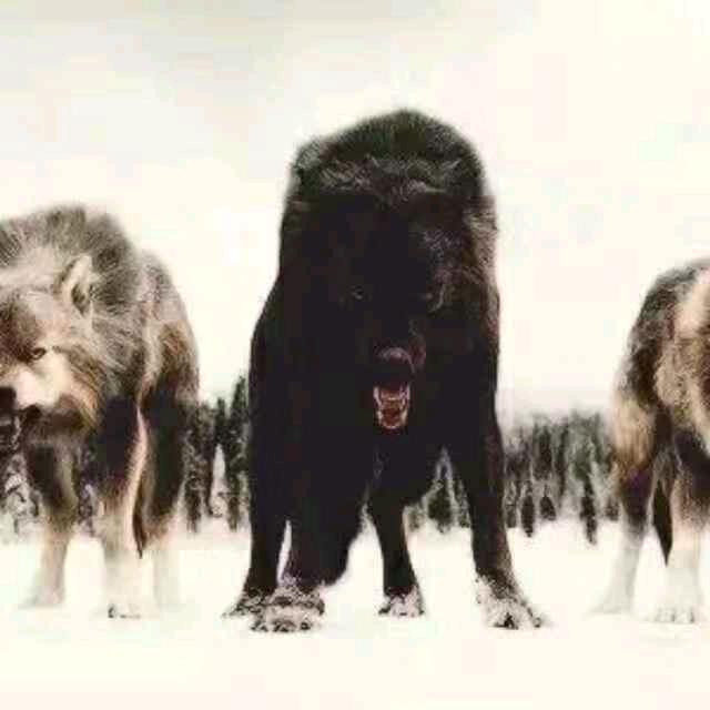 另一个我请睁眼