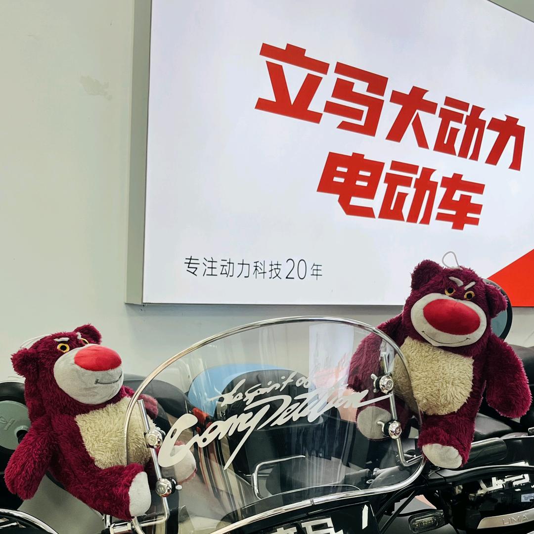 城关立马电动车