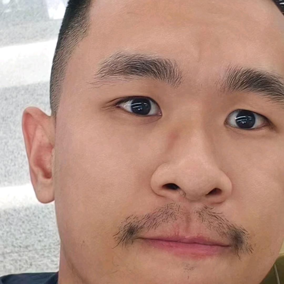憨憨小柯基