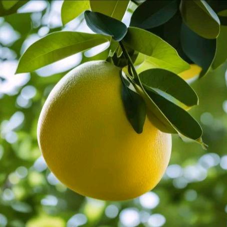 莫问天（互关）