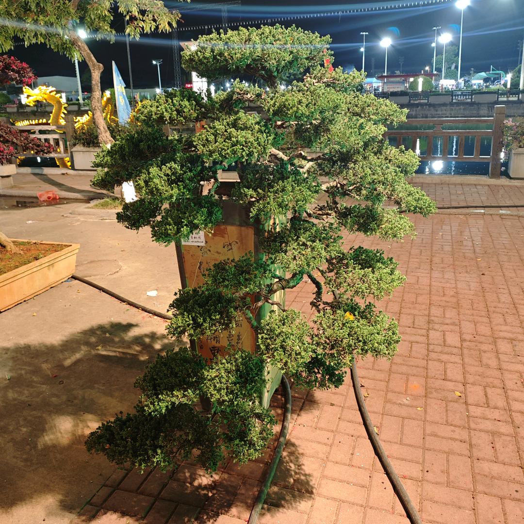 千度模具专业KS模生产