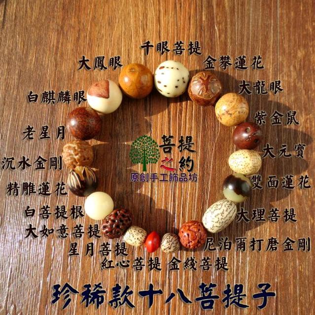 会飞的鱼