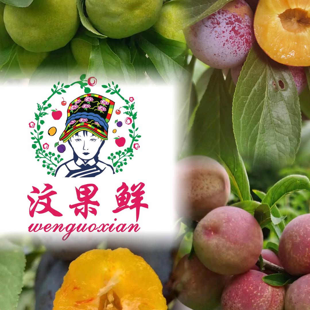 汶果鲜