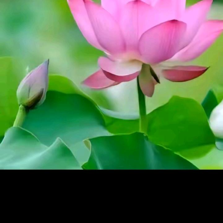 我的人生，我做主