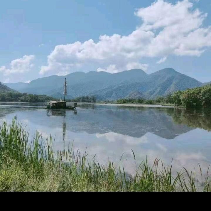 黄芒果|㉨･)っ♡　喜欢你♪