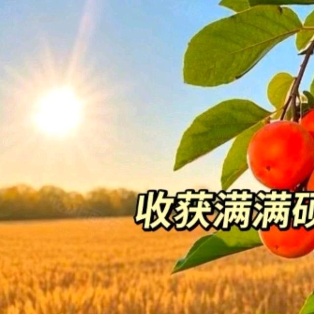 雪知冬