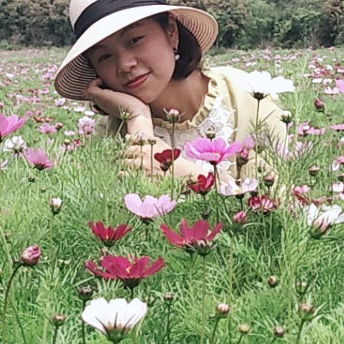人生若只如初见