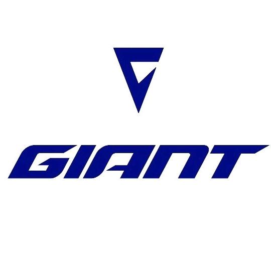 武冈捷安特自行车