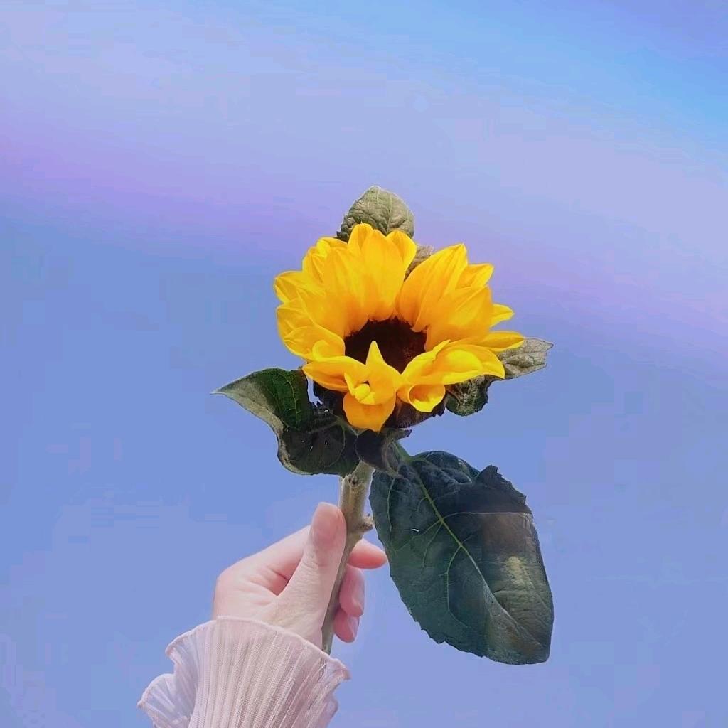 吉塔水晶小作坊