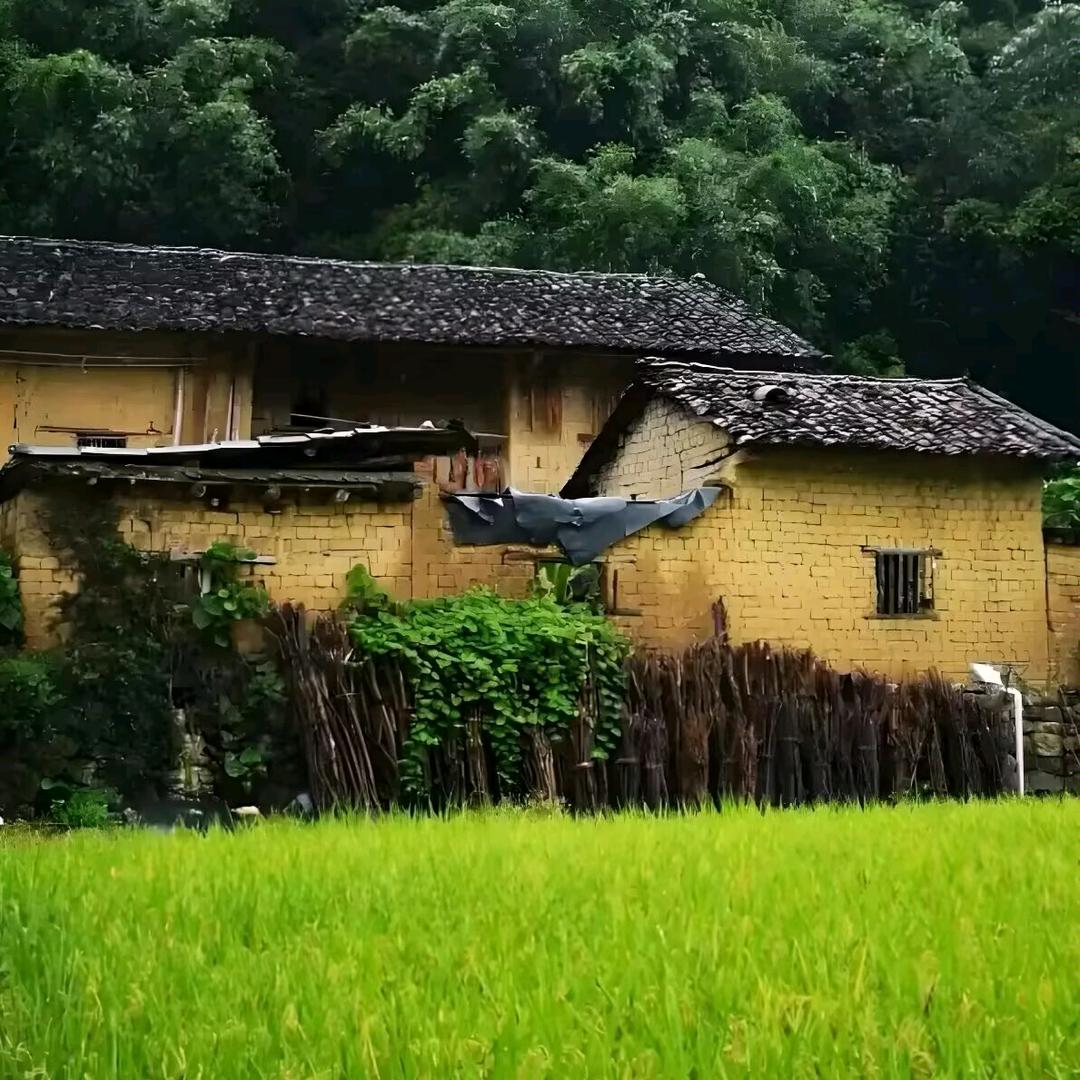 庄稼人