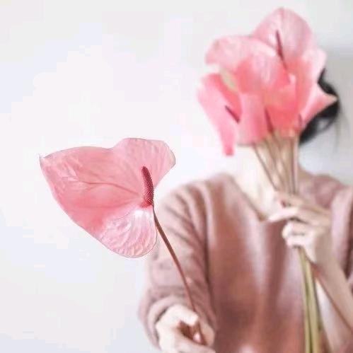 @七月末