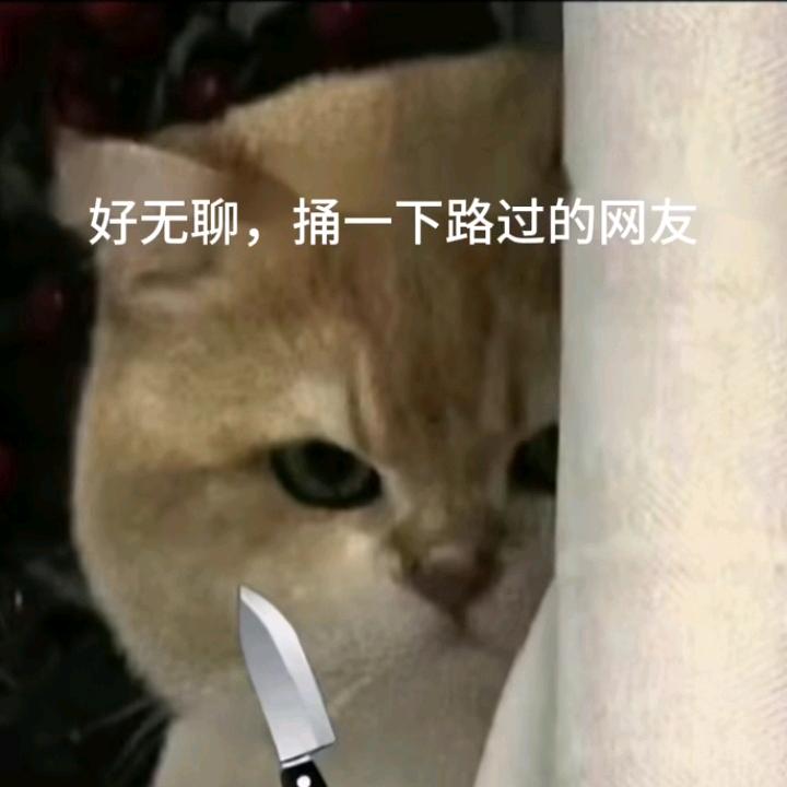 小辣椒🌶️🌶️🌶️