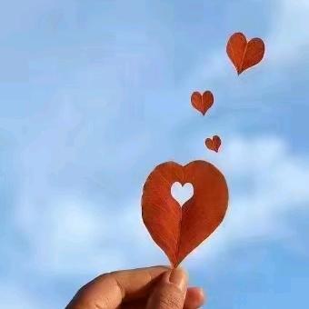 帮打☎️ 点歌（保密）