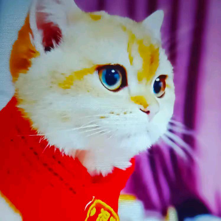 🇨🇳@人生如戏🍒🍺