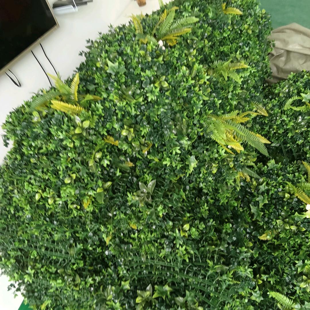 多管局