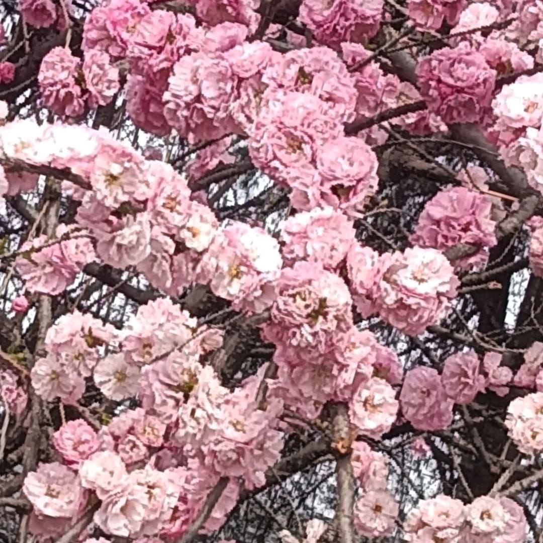 缘分天空