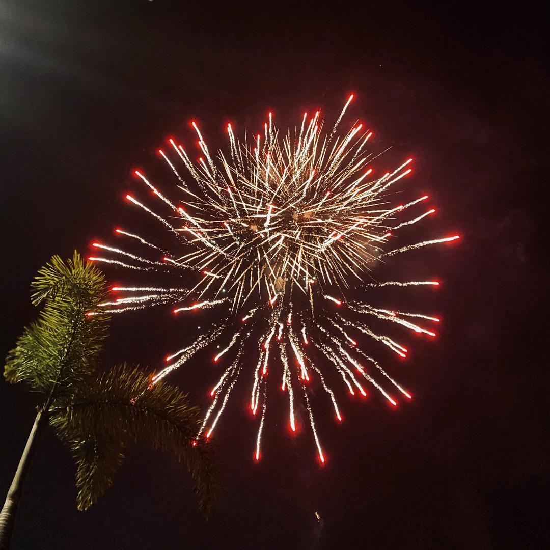 FAVMARTHA童装旗舰店