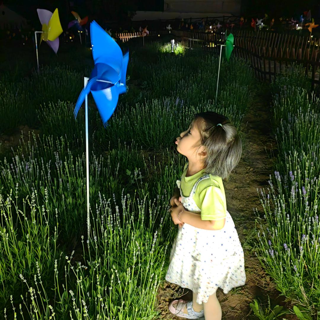 忽如一夜