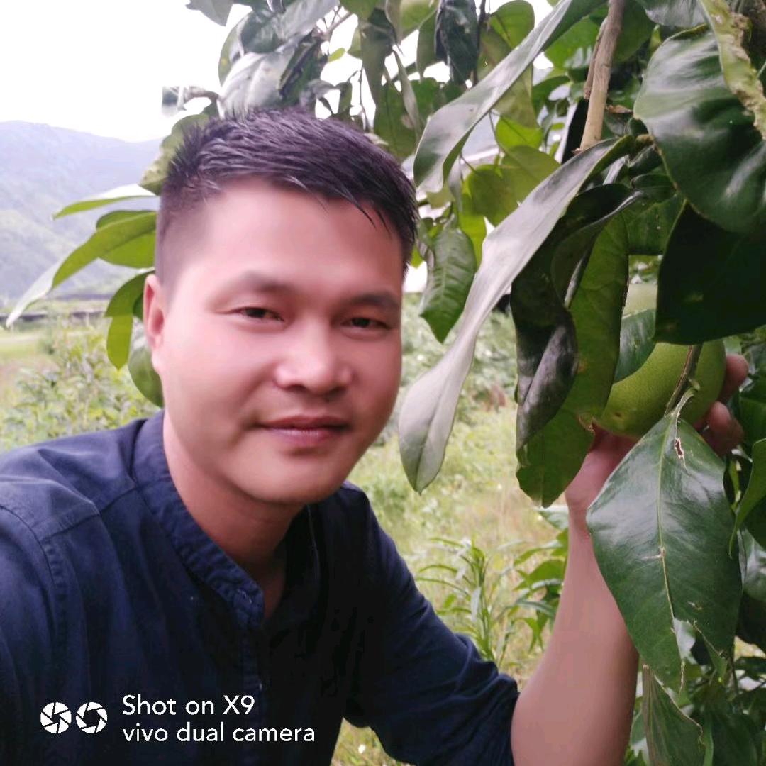 从老家白茶做起