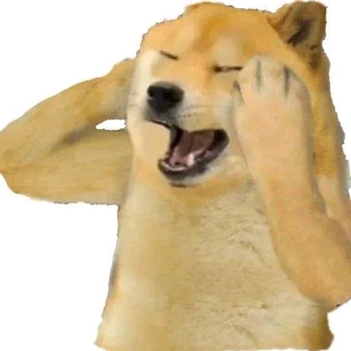 主公你快勒马