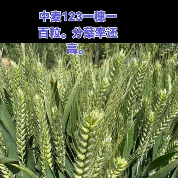 固安县宫村镇路勇农资公司