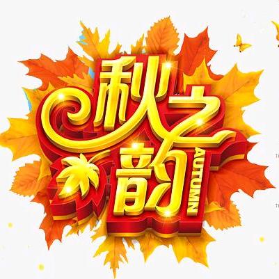 秋之韵假睫毛店