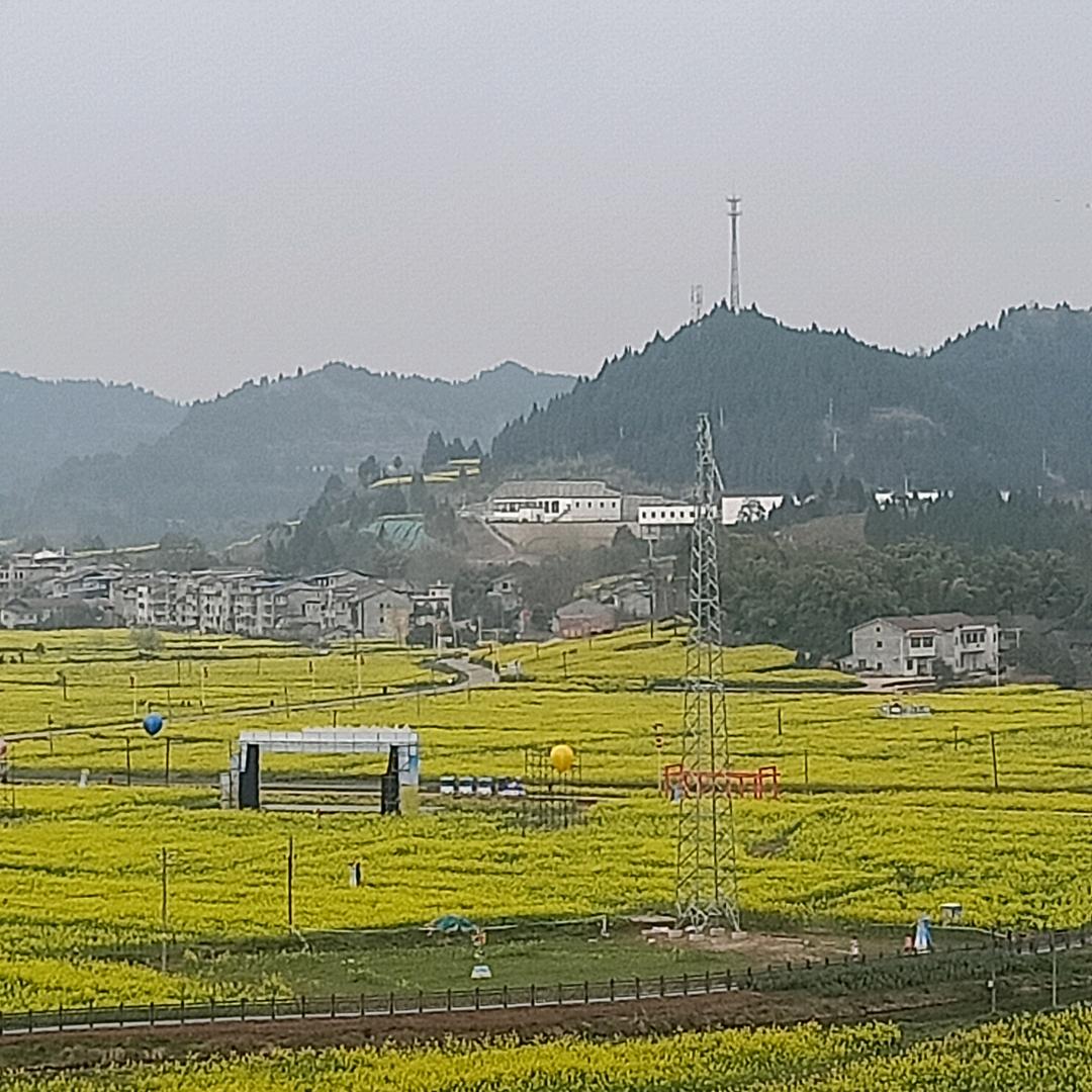 希望自己失去忆