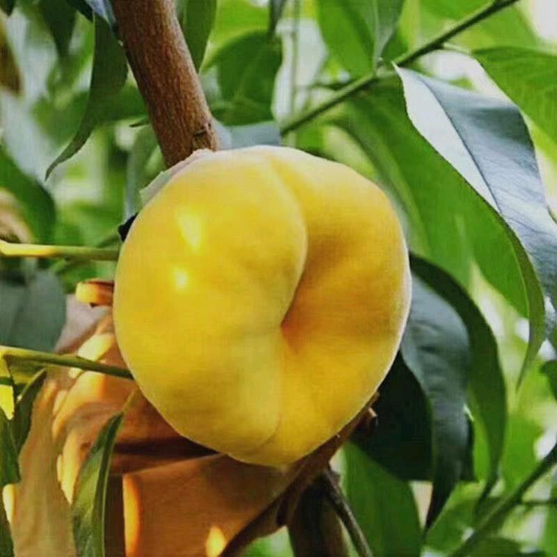 用户3179206122322四哥