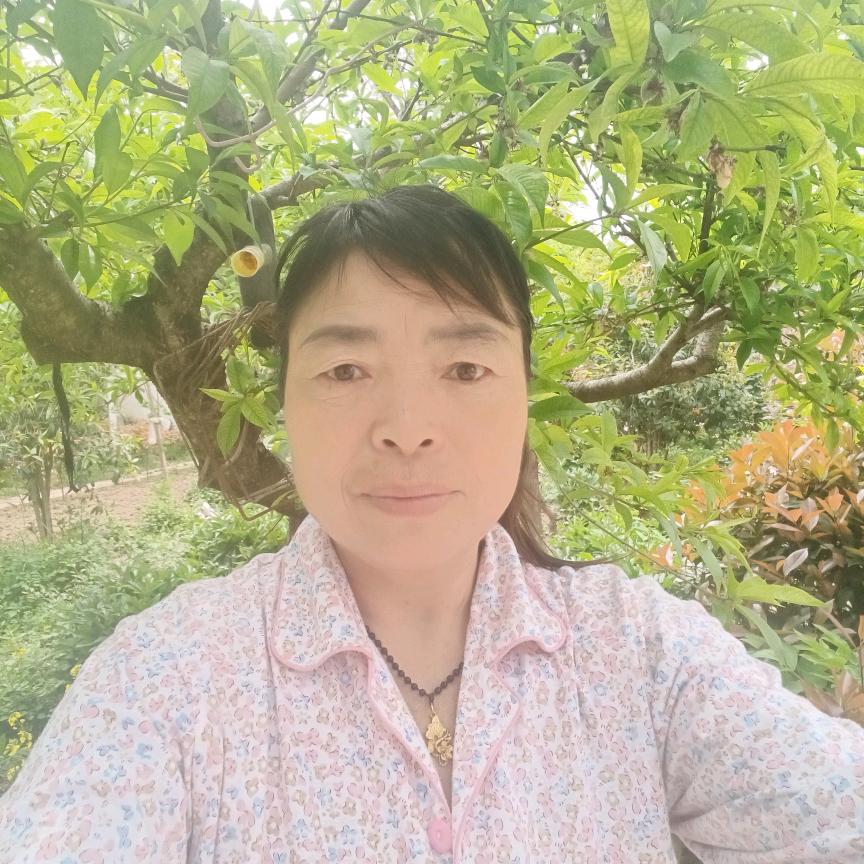 婚姻牵线（玉兰）