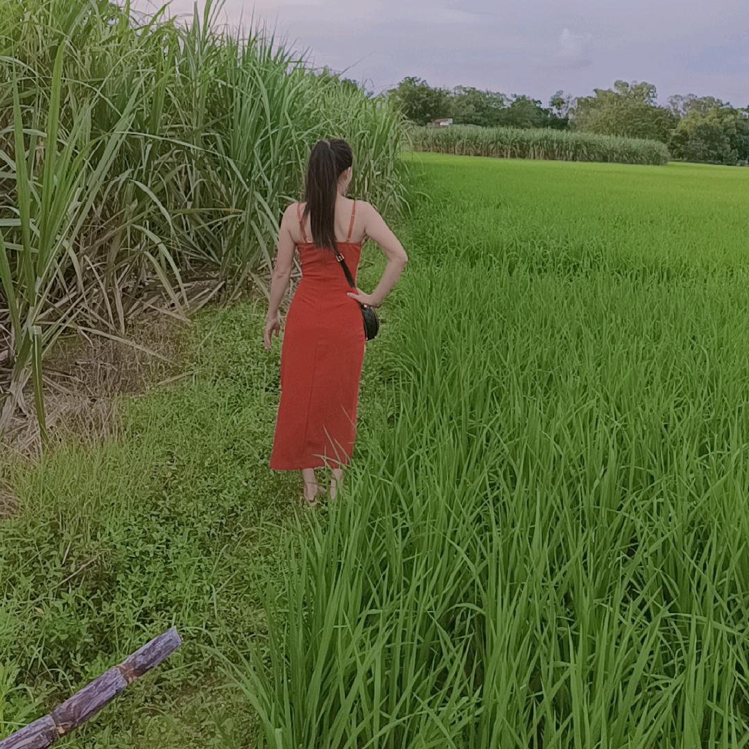 小安然🌹🌹🌹🌹🌹🌹（。拒绝私